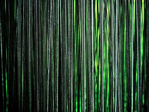 lines vertical zen bingen greygreen partof twocolors parsprototo metal金jīn jardinssurprise kultiviertewiesebydanielastehle2011