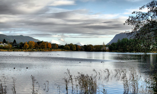 autumn trees lake mountains reeds ducks spjelkavik larigan phamilton lillevatn gullsaswell