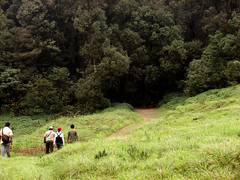 Gangamoola Hill