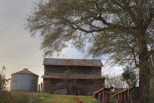 tree barn rural nc photoshoot farm northcarolina silo hdr grainery photomatix davidhopkinsphotography ncpedia