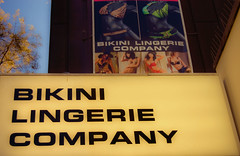 Bikini Lingerie Company