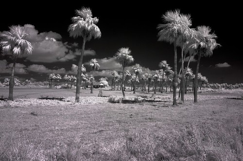 canon landscape ir eos 300d infrared 20mm