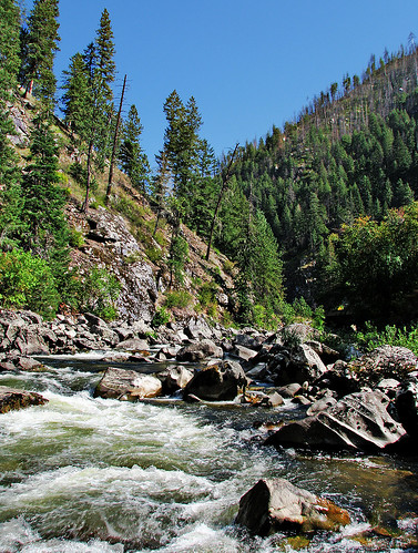 trees nature canon river outdoors rapids idaho handheld hdr clearwater southfork powershots5is