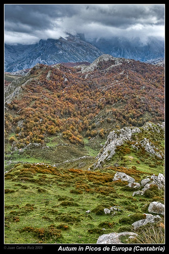 españa mountains colors spain autum otoño montaña hdr cantabria haya fagus picu picosdeeuropa naranjo bulnes urriello concordians