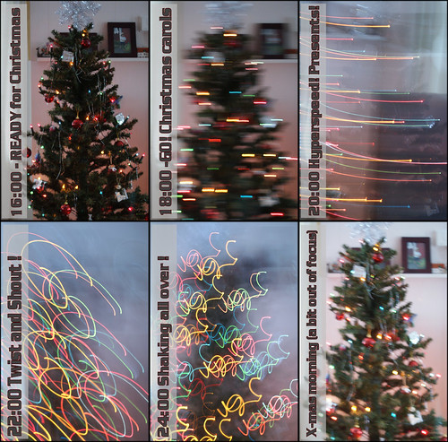 christmas tree fun funny christmastree picturestory multipleshots vanagram