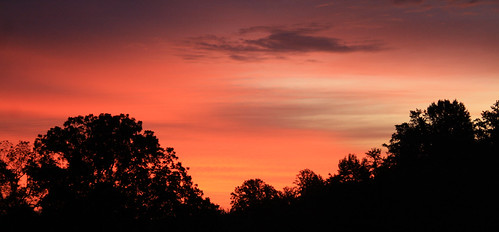 trees silhouette clouds sunrise maryland courtnayjaniak