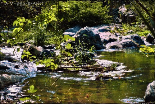 color verde sol atardecer ecuador agua natura vistas ríos picnik campiña piñas