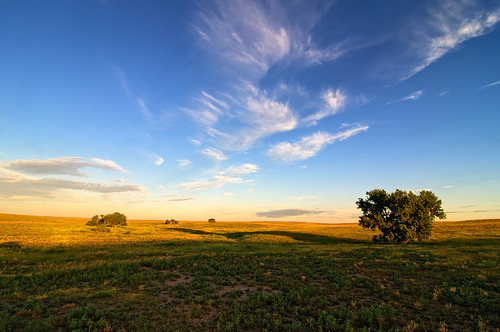 morning blue sky nature clouds sunrise landscape dawn nikon colorado tokina prairie grassland grasslands firstlight d300 pawnee pawneenationalgrassland 1116 clff firstshadows