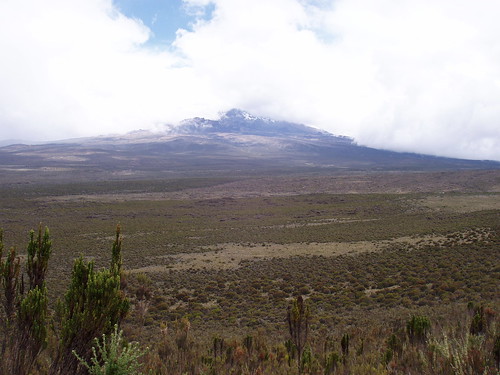 africa roof kilimanjaro trekking tanzania mountainclimbing mountkilimanjaro kili kibo roofofafrica soaringflamingo wwwsoaringflamingocom
