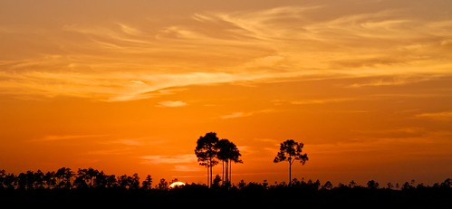 sunset florida everglades evergladesnationalpark pinegladeslake