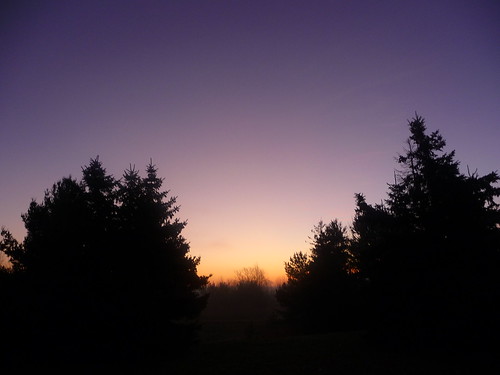 november autumn trees west fall sunrise dawn day belmont michigan horizon begins
