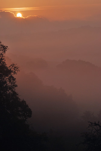 fog sunrise landscape cornwall coombevalley