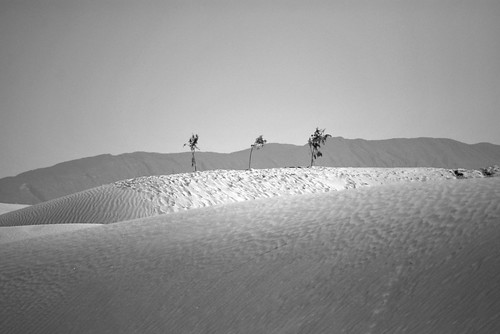 blackandwhite bw blancoynegro méxico mexico nikon desert explore threesisters desierto coahuila blackdiamond inxs d60 dunasdebilbao explored rocoeno bilbaodunes 4tografie