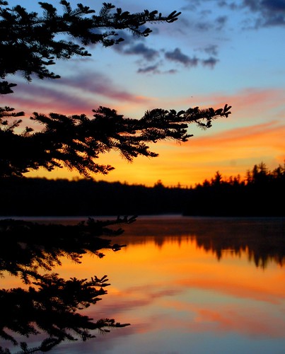 world park camping wild lake canada color nature sunrise landscape algonquinpark silhuoettes nikond40
