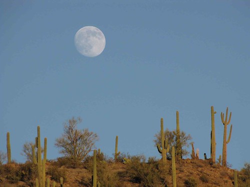 arizona usa moon cacti landscapes desert unitedstatesofamerica gps 2009