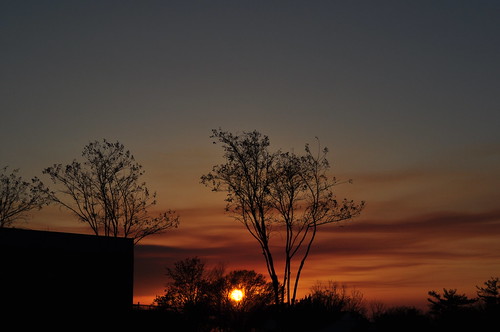 trees sunset red sky orange silhouette southcarolina greer jennymunro