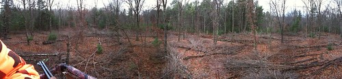 jessica pennsylvania trevor hunting jackson deer stillwater barre wilkes shafer twev1701