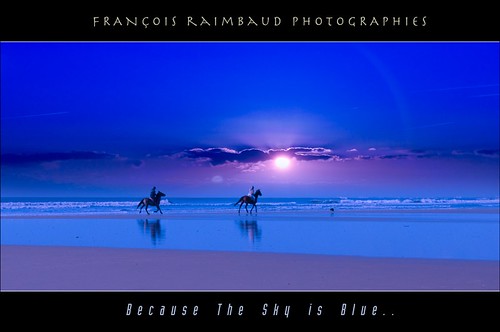 blue sunset horses beach because blueribbonwinner mywinners visiongroup