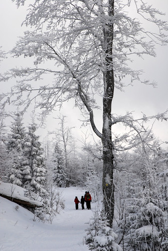 schnee winter bayern nationalpark familie ausflug niederbayern bayerischerwald lusen
