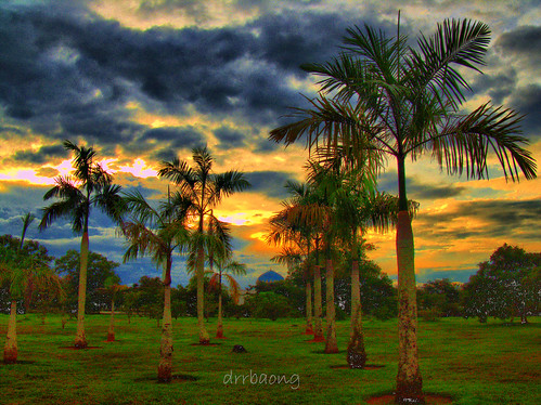 sunset sky cloud tree library palm sarawak malaysia kuching senja pustaka