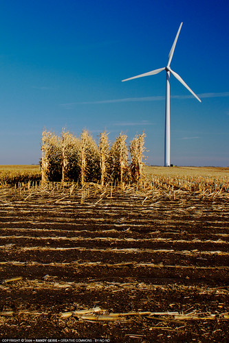 morning portrait fall field clouds rural landscape corn energy unitedstates wind harvest bluesky alternativeenergy electricity chandler mn turbine windturbine windpower frontview