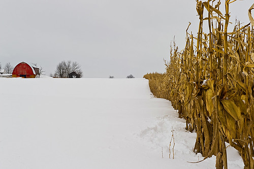 winter ohio red white snow barn rural landscape geotagged corn nikon raw nef country rustic cs4 ruralohio waynecountyohio d3s nikkor2470f28 nikongp1 pse8 acr56