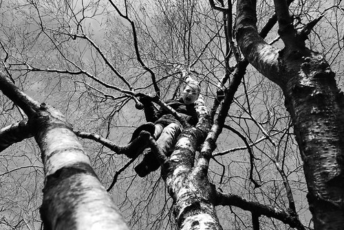 white black tree monkey nikon bars sister climbing jana schwester junglegym d60 niklas94