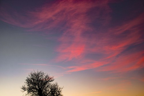 sky clouds sunset tree outdoors weather