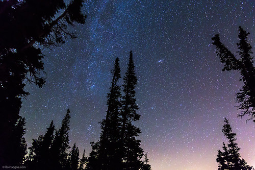 stars astrophotography night nighttime sky starry nature landscapes insogna colorado forest trees pinetrees wilderness woods blue unitedstates