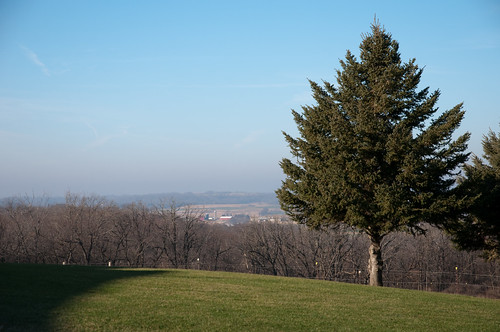 tree view farm vistas