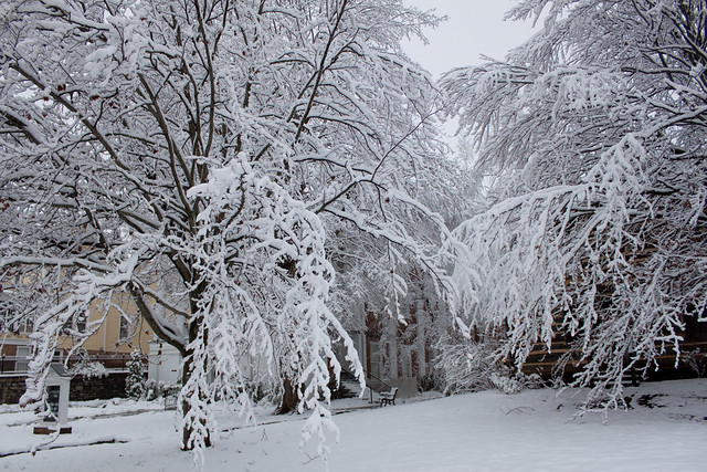 Jonesborough in the Snow | Flickr - Photo Sharing!