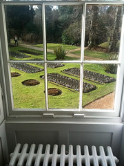 The garden at Down House