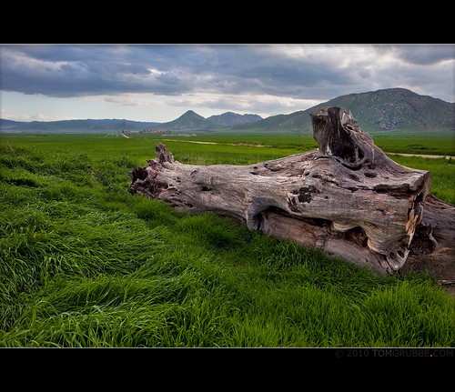 mountains nature grass landscape countryside spring log farm hills valley stump morenovalley tomgrubbe tomgrubbecom