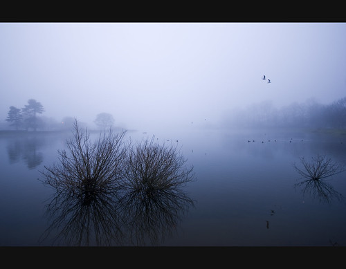 uk winter england mist cold pool birds fog reflections grey nikon december britain sigma wideangle reservoir stowe 1020mm staffordshire lichfield sigma1020mm stowepool d80 nonhdr nikond80 lichfieldcity stchadsroad