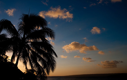 ocean sunset sky orange clouds silhouettes palmtree vanuatu efate iririkiisland