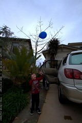letting his balloon fly away (on purpose) 