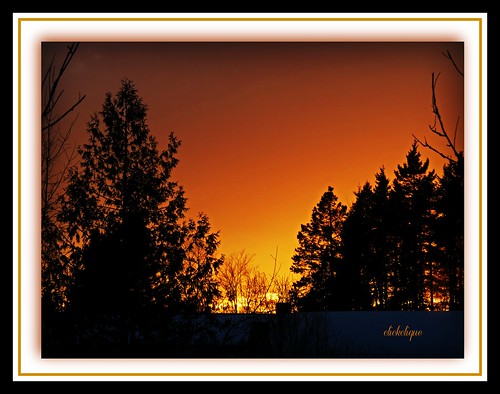 trees sunset sky colour beautiful evening march silhouettes discoveryphotos