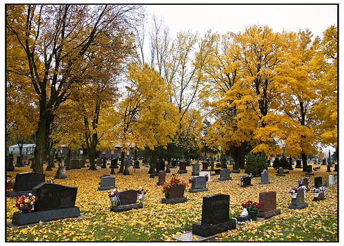 cemetery leaves yellow wisconsin freedom murphy swanksalot sethanderson