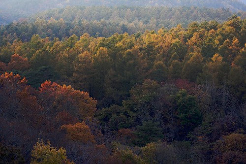 mountain nature japan forest landscape geotagged quiet iwate 日本 山 2009 風景 岩手 松尾 canon50d matuo maemori 前森 geo:lat=39946105 geo:lon=140997535