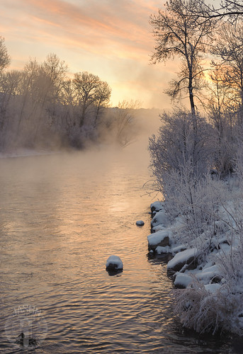 mist snow bird sunrise river duck idaho boise boiseriver