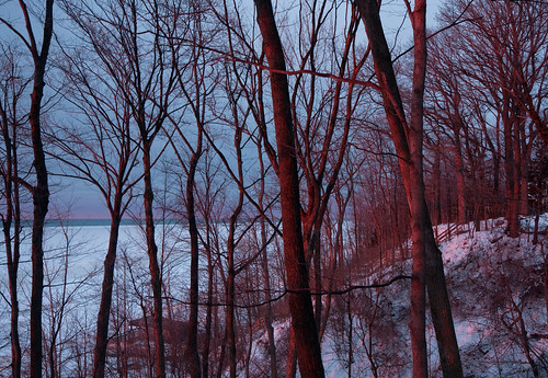 trees sunset lake snow ice michigan lakeside lakemichigan lakesideinn img0014