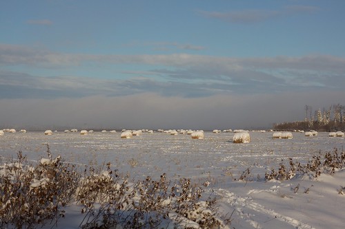 snow field hay bales ef50mmf18ii