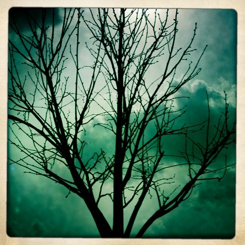 trees clouds landscape iphone hipstamatic