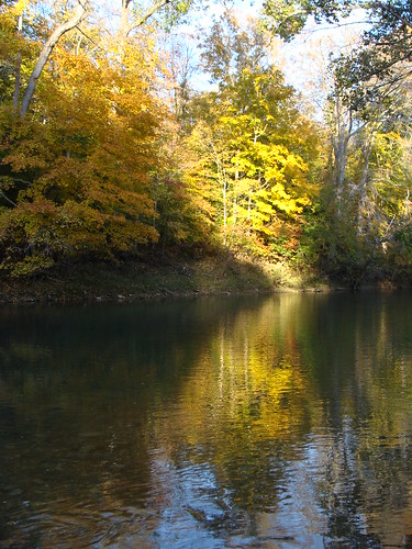 autumn color fall water leaves country scenic peaceful indiana corydon harrisoncounty bigindiancreek