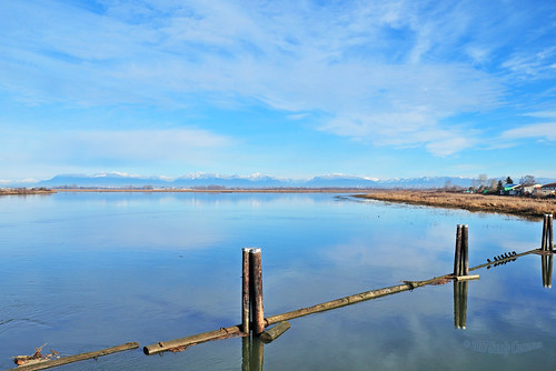 landscape scenic winter smallaperture snowcapped mountains serene tranquil river sky clouds logs water reflection reflecting deltabc lowermainland bc britishcolumbia canada nikond300 nikon