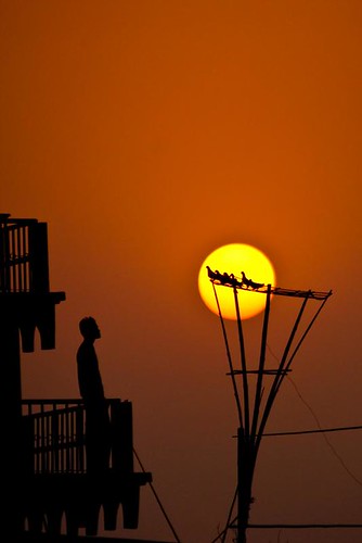 sunset silhouette pigeon dhaka bangladesh flickraward platinumheartaward tripleniceshot flickraward5