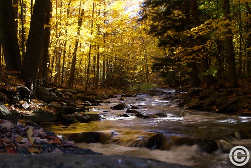 fall yellow river stream quebec coveyhill justinrousseau