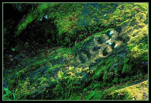 old travel nature creek forest landscape bc native britishcolumbia growth pacificnorthwest bella petroglyph westcoast thorsen coola beautifulbc bcwilderness nuxalk westcoastwilderness mountainfreak laguenther ©laguenther