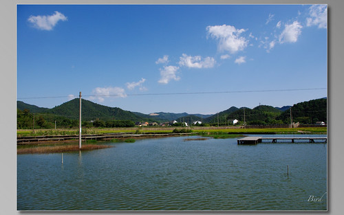 travel landscape pond 旅游 东钱湖