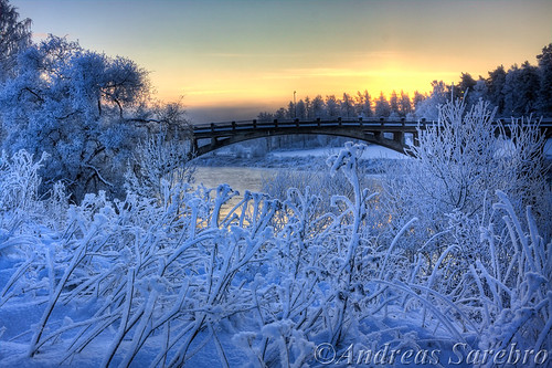 morning bridge snow tree sunrise river 2009 hdr västerbron arboga tresnow